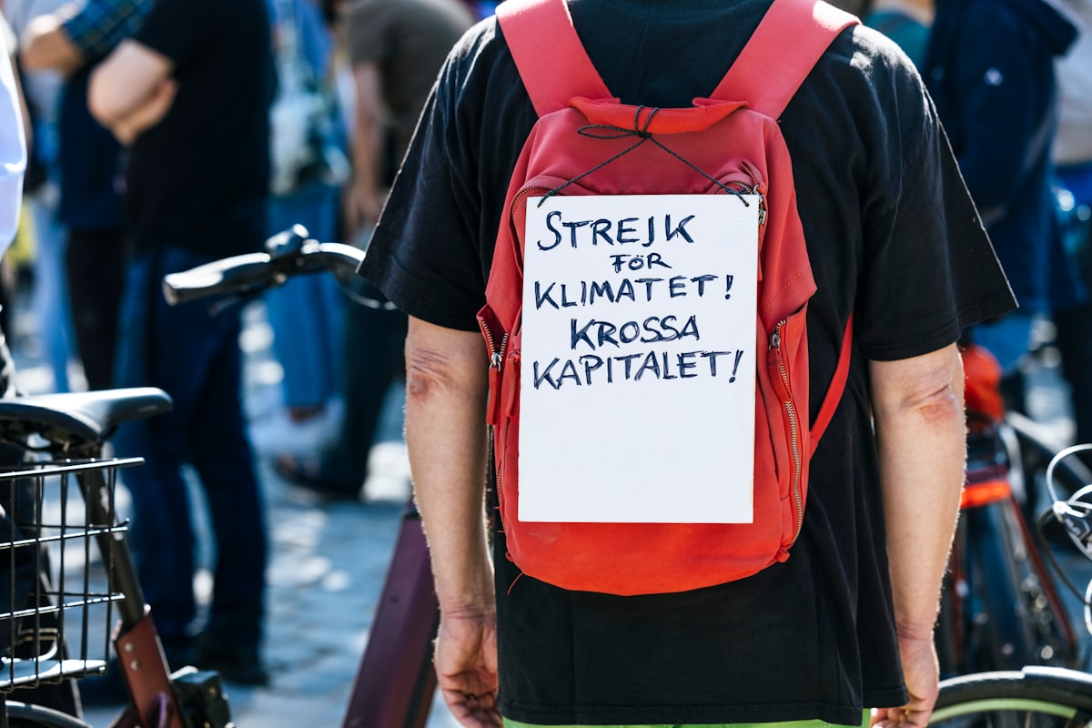 Jagode bogate antioksidansima